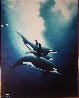 Orca Trio 1984 Limited Edition Print by Robert Wyland - 2