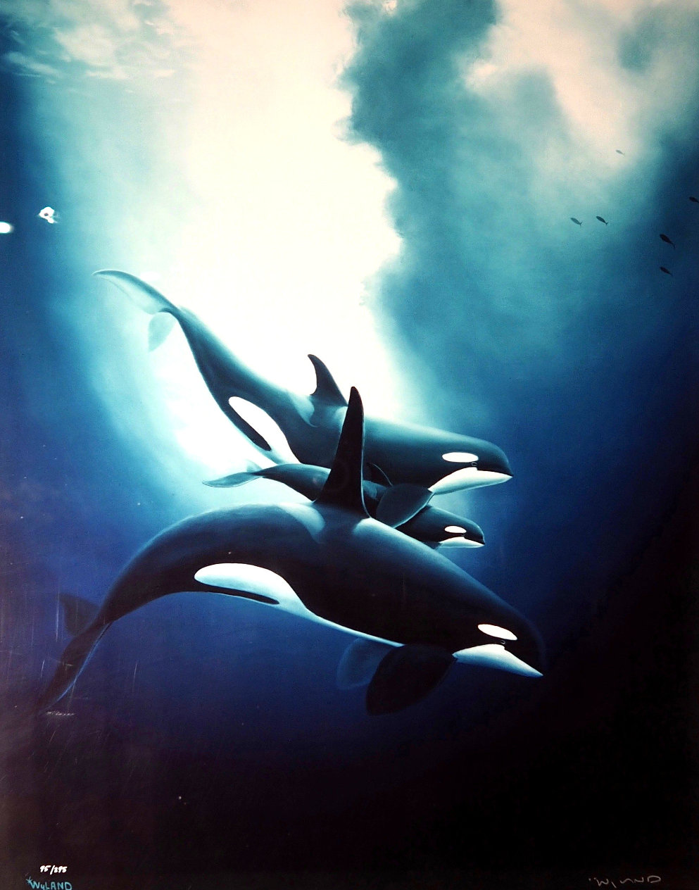 Orca Trio 1984 Marine Life by Robert Wyland - For Sale on Art Brokerage