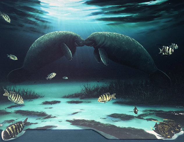 Manatee Encounter 2002 Limited Edition Print by Robert Wyland