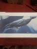 Gray Whale Waters 1992 Limited Edition Print by Robert Wyland - 3