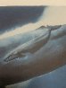 Gray Whale Waters 1992 Limited Edition Print by Robert Wyland - 1