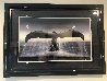 Whales Forever 1997 Limited Edition Print by Robert Wyland - 2