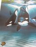 Keikos Dream 1996 - Wyland &  Jim Warren Collaboration Limited Edition Print by Robert Wyland - 3