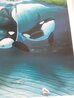 Keikos Dream 1996 - Wyland &  Jim Warren Collaboration Limited Edition Print by Robert Wyland - 4
