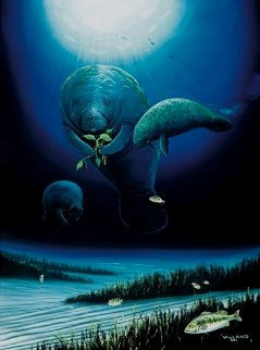 Save the Manatees 1996 Limited Edition Print - Robert Wyland Save the Manatees 1996 Limited Edition Print - Robert Wyland