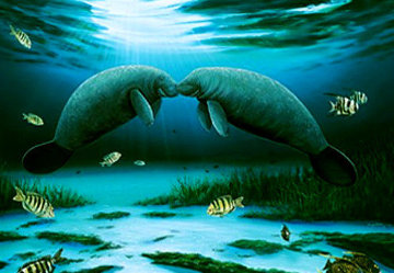 Manatee Encounter 2003 Limited Edition Print by Robert Wyland