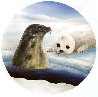 Harp Seals 1990 Limited Edition Print by Robert Wyland - 0