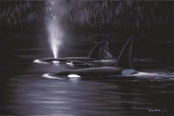 Orca Evening 2002 Limited Edition Print - Robert Wyland Orca Evening 2002 Limited Edition Print - Robert Wyland
