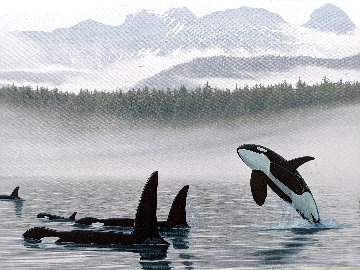 Misty Orca Waters 2008 Limited Edition Print - Robert Wyland Misty Orca Waters 2008 Limited Edition Print - Robert Wyland