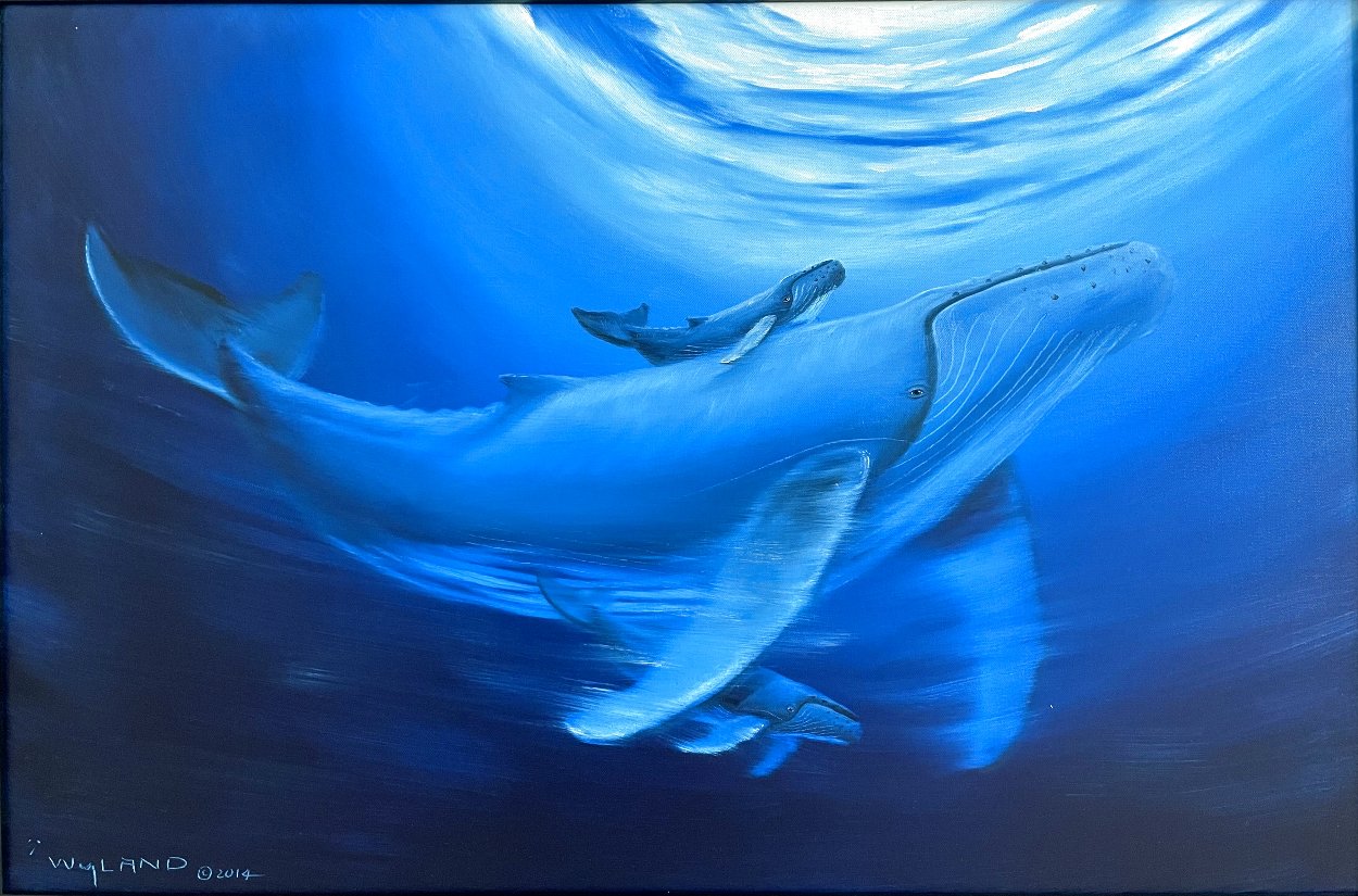 Untitled Painting 2014 34x46 - Huge Albino Humpback and Calf Original Painting by Robert Wyland