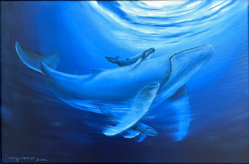 Wyland Art For Sale, Wanted