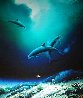 Children of the Sea 1992 Limited Edition Print by Robert Wyland - 0