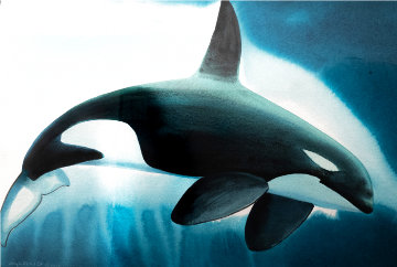 Orca Dive Watercolor 2013 35x43 Huge  Watercolor - Robert Wyland
