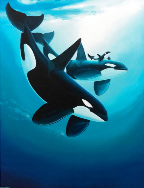 Orca Sea AP 2016 - Huge Limited Edition Print by Robert Wyland
