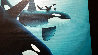 Orca Sea AP 2016 - Huge Limited Edition Print by Robert Wyland - 2