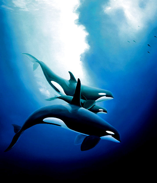 Orca Trio 1984 Limited Edition Print by Robert Wyland