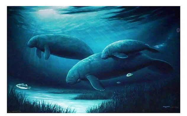 Endangered Manatees Cibachrome 1994 Limited Edition Print by Robert Wyland