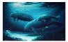 Endangered Manatees Cibachrome 1994 Limited Edition Print by Robert Wyland - 0