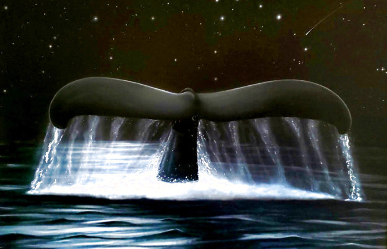 Reach for the Stars 2002 Limited Edition Print by Robert Wyland