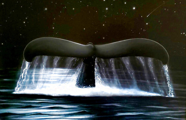 Reach for the Stars Limited Edition Print - Robert Wyland