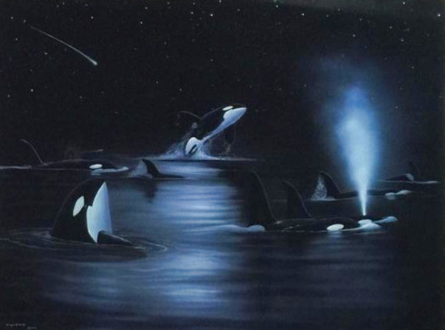 Orcas Starry Night AP 2004 - Huge Limited Edition Print by Robert Wyland