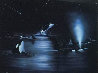 Orcas Starry Night AP 2004 - Huge Limited Edition Print by Robert Wyland - 0