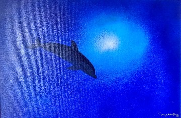 Dolphin 2022 28x38 Original Painting - Robert Wyland