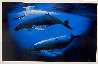 Sea of Life 2005 Limited Edition Print by Robert Wyland - 1