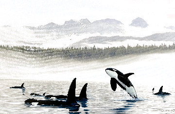 Misty Orca Waters 2008 Limited Edition Print - Robert Wyland