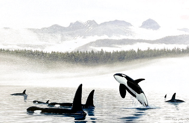 Misty Orca Waters 2008 Limited Edition Print by Robert Wyland