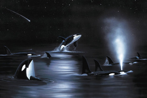 Orca Starry Night 2004 Limited Edition Print - Robert Wyland