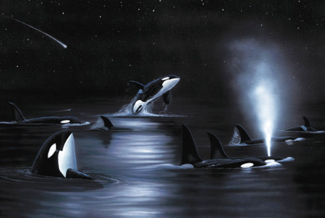 Orca Starry Night 2004 Limited Edition Print by Robert Wyland