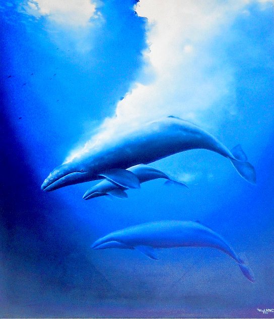 Humpback Reef 1995 30x36 By Robert Wyland For Sale On Art Brokerage