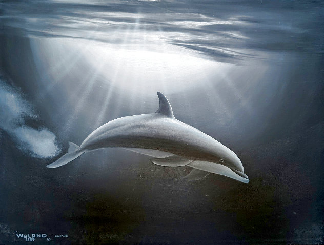 Dolphin Evening Encounter 1989 18x24 - Koa Frame Original Painting by Robert Wyland