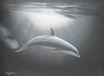 Dolphin Evening Encounter 1989 18x24 Original Painting - Robert Wyland