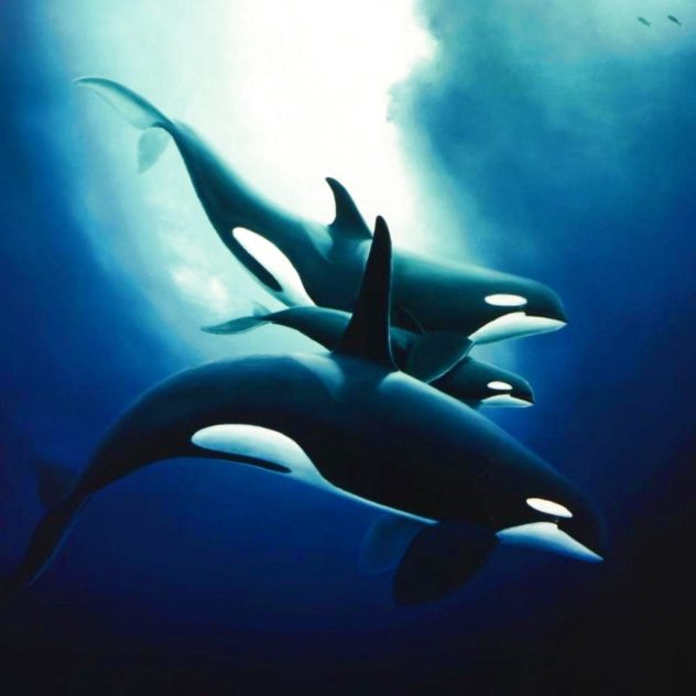 Orca Trio 1994 Limited Edition Print by Robert Wyland