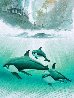 Underwater Color Suite: Pacific Waters AP 2000 Limited Edition Print by Robert Wyland - 0
