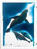 Underwater Color Suite: Sea Line Dance AP 2000 Limited Edition Print by Robert Wyland - 1
