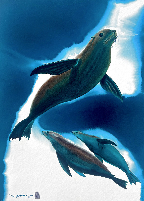 Robert Wyland Limited Edition Prints For Sale, Wanted Robert Wyland Limited Edition Prints For Sale, Wanted