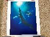 Ocean Born 1996 Limited Edition Print by Robert Wyland - 1