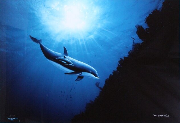 Kissing Dolphins 1990 Lithograph 35x25 by Robert Wyland - For Sale