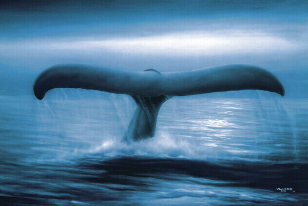 てぃんくる 版画 BLUECIELO IN WONDERLAND てぃんくる 版画 BLUECIELO IN WONDERLAND てぃんくる 版画