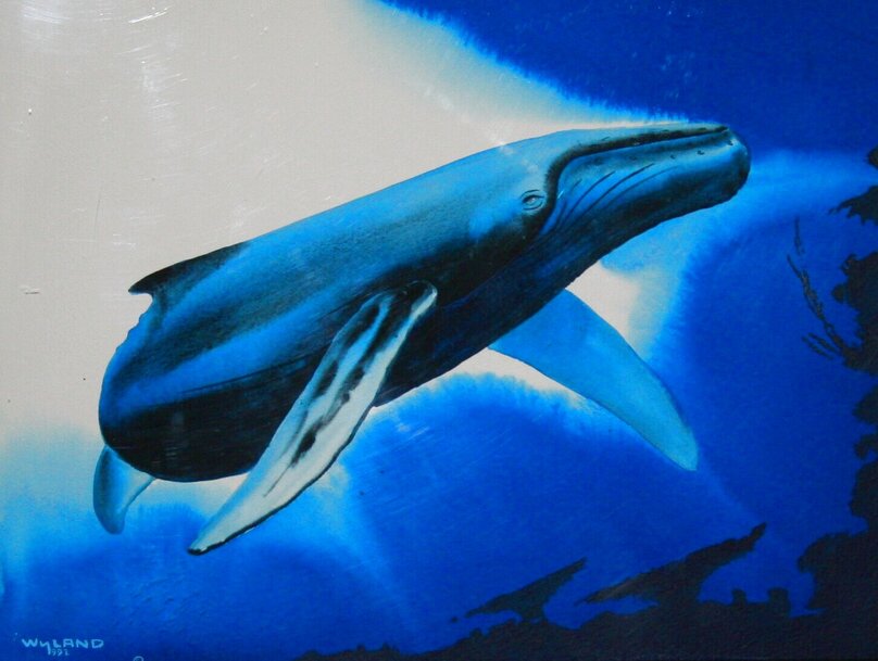 Robert Wyland Original Paintings, Watercolors, Drawings And Works