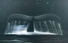 Reach For the Stars 2002 - Framed Giclee on Canvas - Huge Limited Edition Print by Robert Wyland - 0