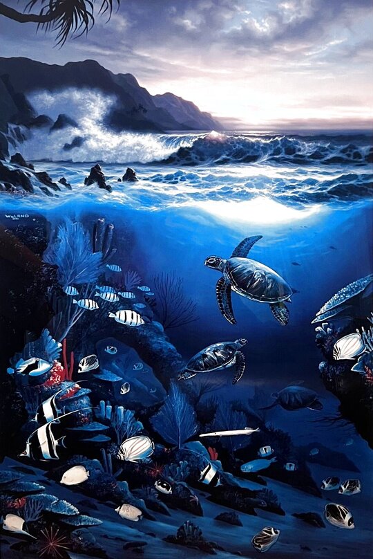 レア！Staring At The Sea • The Images 日本盤LD Shipwrecked by Rodel Gonzalez I James coleman Studio – James