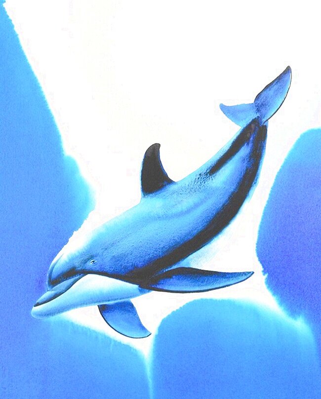 Robert Wyland Original Paintings, Watercolors, Drawings And Works