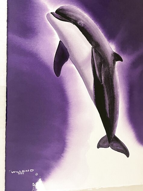 Dolphin 1996 - Framed Watercolor on Paper 1998 35x28 by Robert