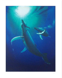 Ocean Born 1996 Limited Edition Print - Robert Wyland Ocean Born 1996 Limited Edition Print - Robert Wyland