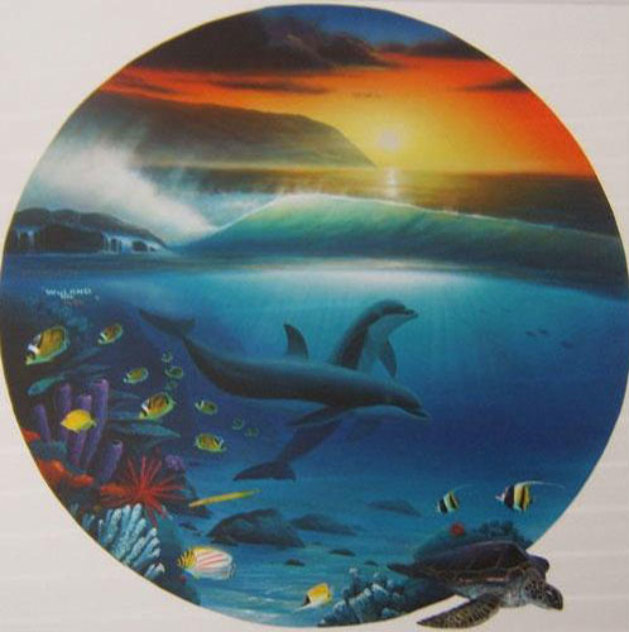 Dolphin Days 2002 Limited Edition Print by Robert Wyland
