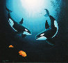 In the Company of Orcas PP Limited Edition Print by Robert Wyland - 0 In the Company of Orcas PP Limited Edition Print by Robert Wyland - 0